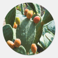 Fruit de cactus à poires