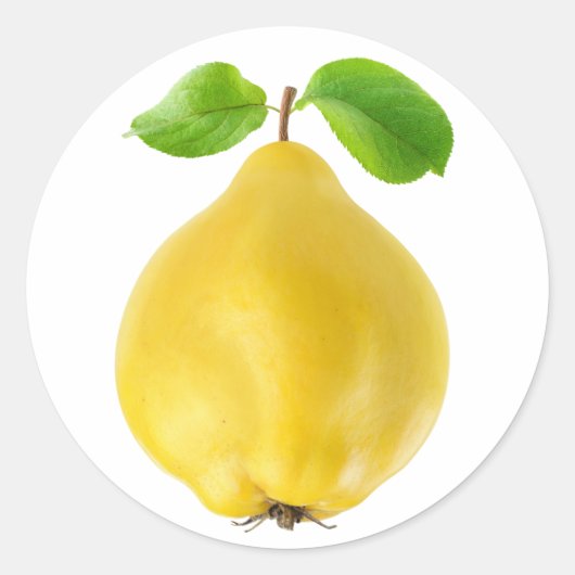 Sticker Rond Fruit de coing (Devant)