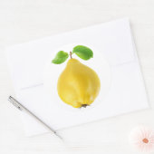 Sticker Rond Fruit de coing (Enveloppe)