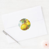 Sticker Rond Fruit poire vintage illustration jaune vert (Enveloppe)
