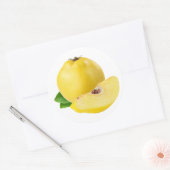 Sticker Rond Fruits de coing (Enveloppe)