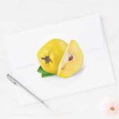 Sticker Rond Fruits de coing (Enveloppe)