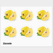 Sticker Rond Fruits de coing (Feuille)