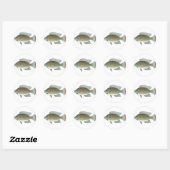 Sticker Rond Fruits de mer crus Tilapia Fish Vector (Feuille)