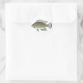 Sticker Rond Fruits de mer crus Tilapia Fish Vector (Sac)