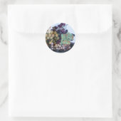 STICKER ROND FRUITS DE SAISON 1 (Sac)