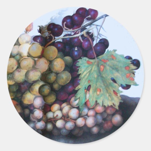 STICKER ROND FRUITS DE SAISON 1 (Devant)