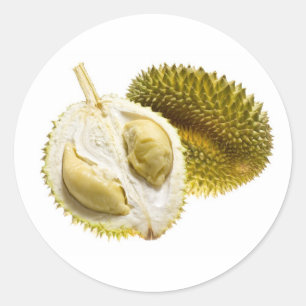 Sticker Rond Fruits tropicaux - Durian