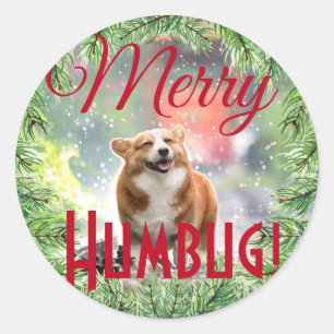 Sticker Rond Fun Dog Photo Christmas Wreath Joyeux Humbug