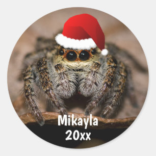 Sticker Rond Fun Jumping Spider à Santa Hat Noël