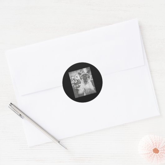 Sticker Rond Funny Ai Siamese Cat Selfie With Santa Claus Chris (Enveloppe)