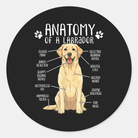 Sticker Rond Funny Anatomy Labrador Retriever Yellow Lab Dog Ow (Devant)