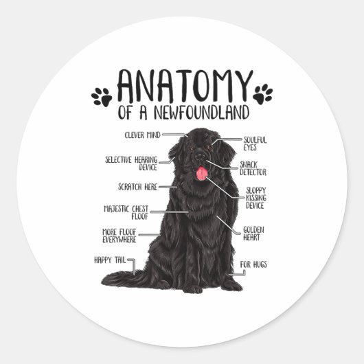 Sticker Rond Funny Anatomy Newfoundland Dog Cute Newfie Lover (Devant)