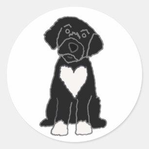 Sticker Rond Funny Black Portugais Water Dog