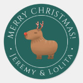Sticker Rond Funny Capybara Reindeer Noël (Devant)