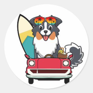 Sticker Rond Funny Collie Dog conduit à la plage