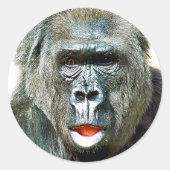 STICKER ROND FUNNY CUTE GORILLA (Devant)