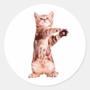 Sticker Rond Funny debout chaton joueuse