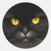 Sticker Rond Funny Fluffeux noir Perse noir chaton visage (Devant)