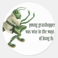 Funny Kung Fu Grasshopper
