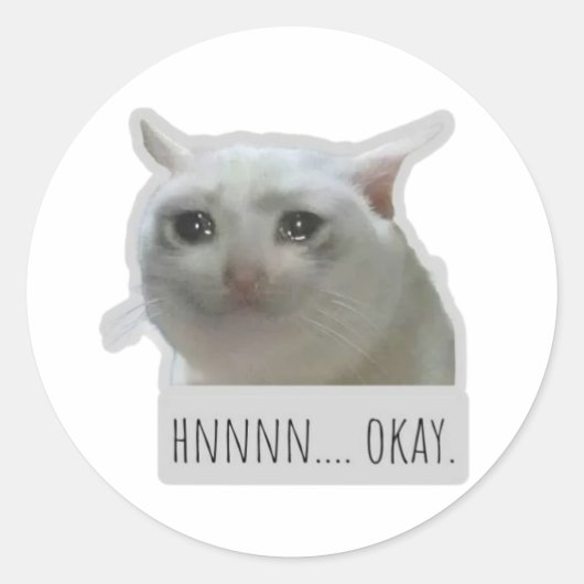 Sticker Rond funny meme cat (Devant)