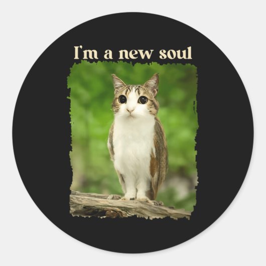 Sticker Rond Funny Meowl Meme, Cat Owl Meme Brainrot Gen Alpha  (Devant)