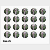 Sticker Rond Funny Ostrich (Feuille)