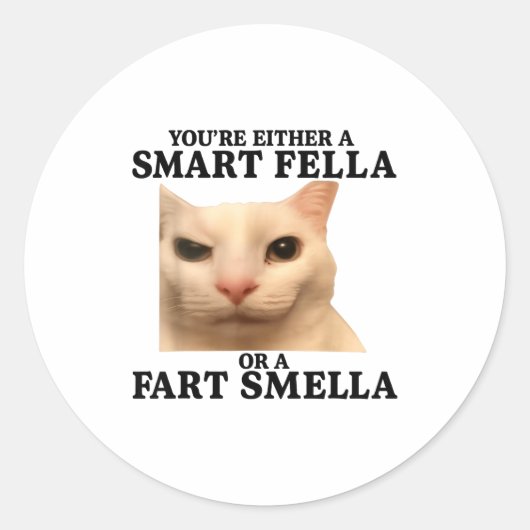 Sticker Rond Funny You're Either A Smart Fella Or A Fart Smella (Devant)
