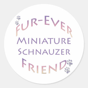 Sticker Rond Furever de Schnauzer miniature