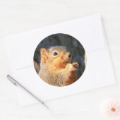 Sticker Rond Fuzzy (Enveloppe)