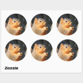 Sticker Rond Fuzzy (Feuille)