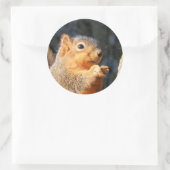 Sticker Rond Fuzzy (Sac)