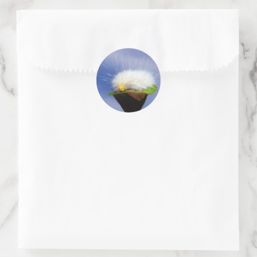 Sticker Rond Fuzzy White Caterpillar (Sac)