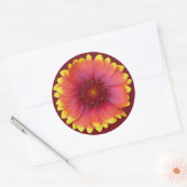 Sticker Rond Gaillardia 1 (Enveloppe)