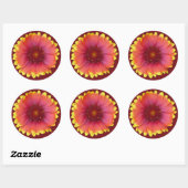 Sticker Rond Gaillardia 1 (Feuille)