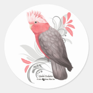Sticker Rond Galah Cockatoo