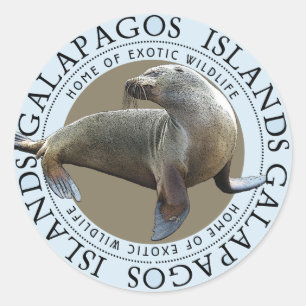 Sticker Rond Galapagos îles Seals Lions de mer
