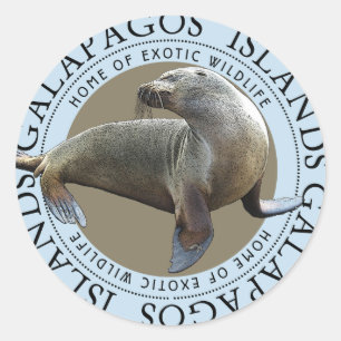 Sticker Rond Galapagos îles Seals Lions de mer