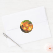 Sticker Rond Galore de poisson d'or (Enveloppe)