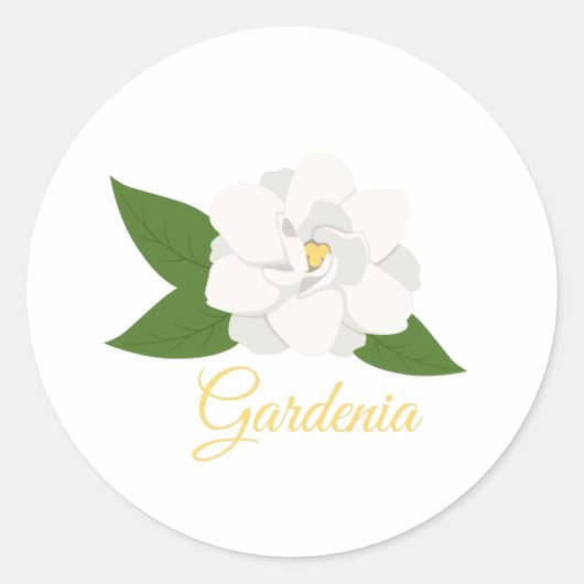 Sticker Rond Gardenia (Devant)