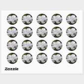 Sticker Rond Gardenia Elegance (Feuille)
