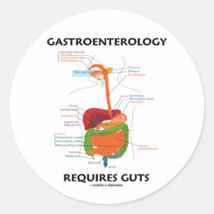 Sticker Rond Gastroentérologie Nécessite Des Guts (Système Dige