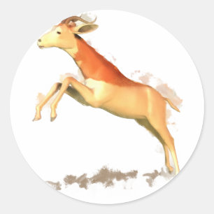 Sticker Rond Gazelle de Dama