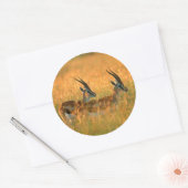 Sticker Rond Gazelle de Thomson (Gazella Thomsonii) à l'aube (Enveloppe)