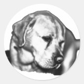 Sticker Rond Gazon de décoloration (Devant)