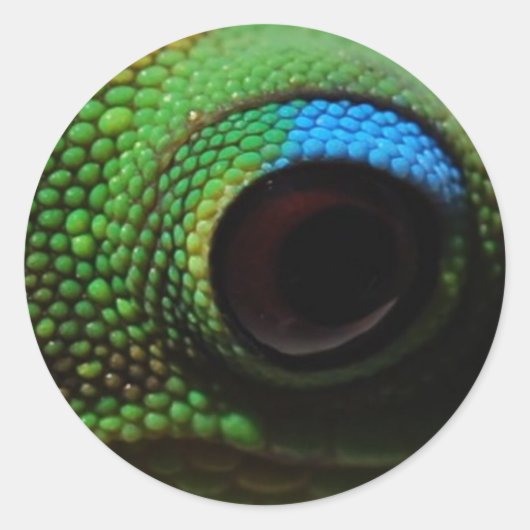 Sticker Rond Gecko Eyeball (Devant)