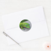 Sticker Rond Gecko Gold Dust Day - Audition et obtenir quelques (Enveloppe)