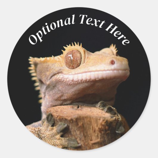 Sticker Rond Gecko Lizard en crête sur noir (Devant)