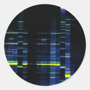 Sticker Rond Gel de séquence d'ADN 1