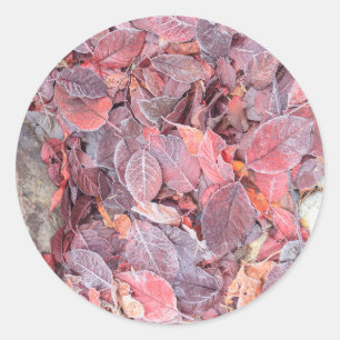 Sticker Rond Gelée blanche sur feuilles mortes, Couleurs d'auto